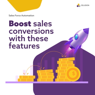 Sales Force Automation_Celusion Technologies