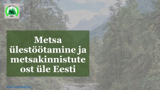 Metsa ABC