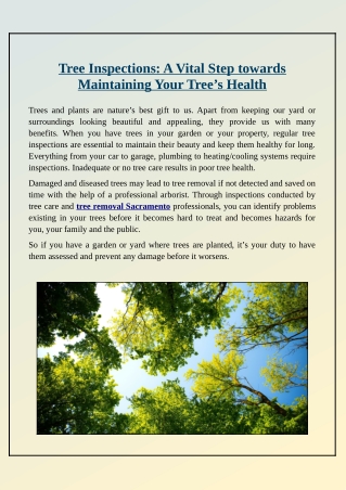 What are the Important Steps for Inspecting and Maintaining Your Tree's Health?