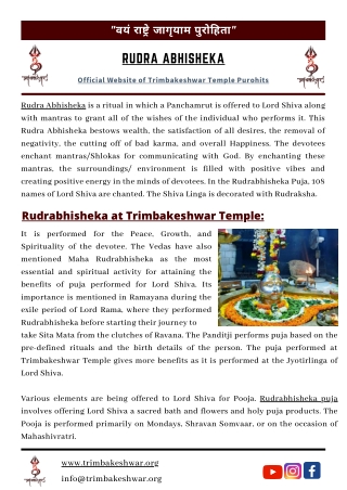 Rudra Abhisheka at Trimbakeshwar Temple