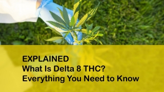 EXPLAINED What Is Delta 8 THC Everything You Need to Know
