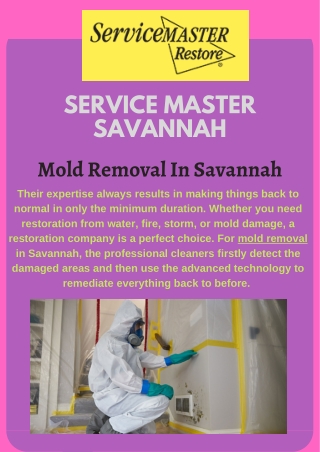 Mold Removal Company In Savannah, GA | Service Master Savannah