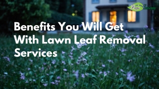 Benefits You Will Get With Lawn Leaf Removal Services