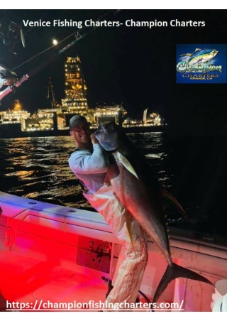 Deep Sea Fishing Charters Venice FL