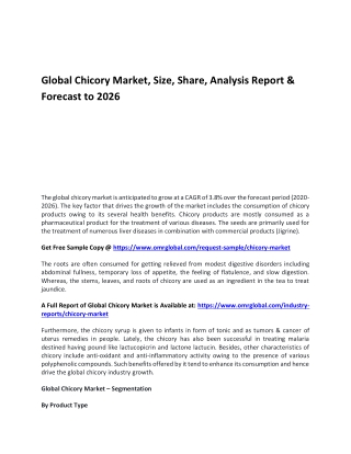 Global Chicory Market