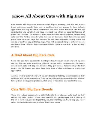 Know All About Cats with Big Ears (1)