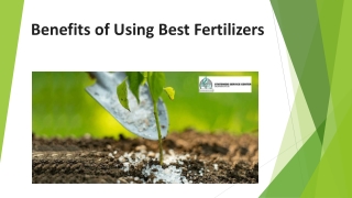 Benefits of Using Best Fertilizers