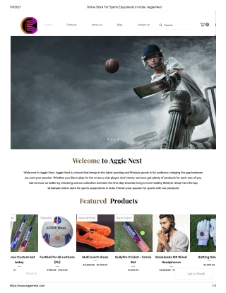 Online Store For Sports Equipments In India