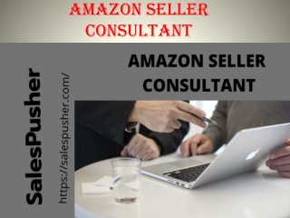 Amazon Seller Consultant