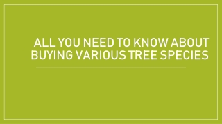 All You Need To Know About Buying Various Tree Species