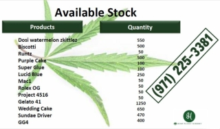 Fresh And Healthy True OG Clones