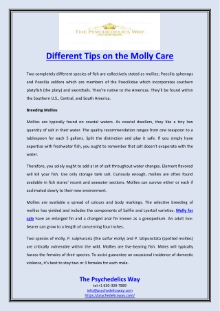 Different Tips on the Molly Care