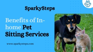 Benefits of In-home Pet Sitting Services | SparkySteps