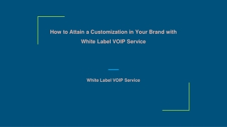How to Attain a Customization in Your Brand with White Label VOIP Service