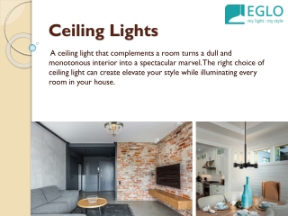 Ceiling Lights
