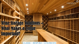 Wine Storage Solutions – What Makes a Cellar Important?