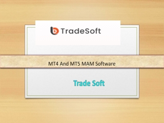 MT4 And MT5 MAM Software