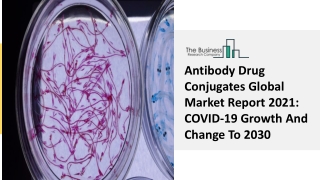 Antibody Drug Conjugates Market Share, Size, Growth, Global Trends Report 2030