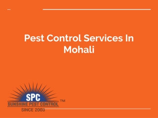 Pest Control Services In Mohali