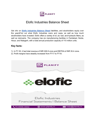 Elofic Industries Balance Sheet