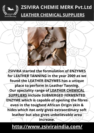 LEATHER CHEMICAL SUPPLIERS