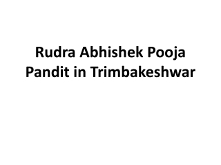 Rudra Abhishek Pooja Pandit in Trimbakeshwar