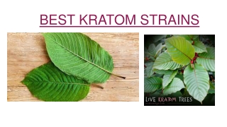 kratom strains