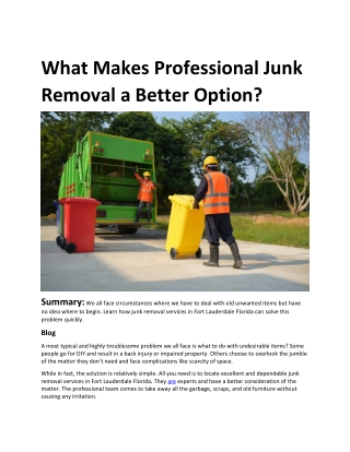 What Makes Professional Junk Removal a Better Option