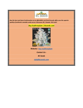 Buy Erythroxylum Bcseeds.com