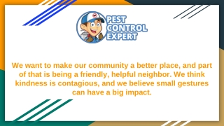 Affordable Pest Control Services - Pest Control Expert