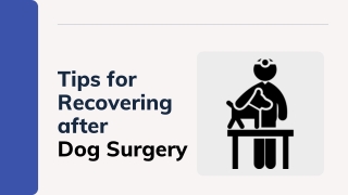 Tips for Recovering after Dog Surgery