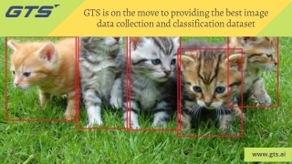 IMAGE CLASSIFICATION FOR AI/ML MODELS