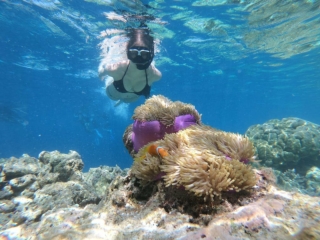 Snorkel tours - Exclusive Snorkeling Tours at Molokini Crater