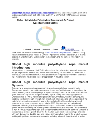 Global high modulus polyethylene rope market size was valued at US