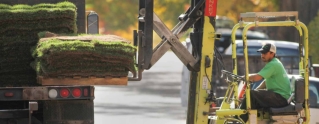 Sod Supplier - Artificial﻿ Turf Sports Field Supplier in Denver