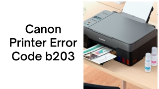 codeb203