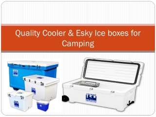 Quality-Cooler-and-Esky-Ice.9406962.powerpoint
