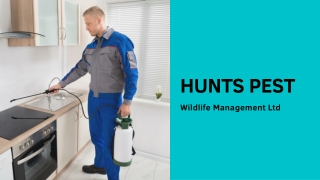 Hunt Pest