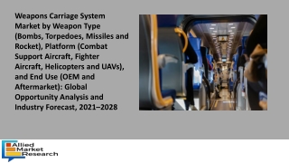 Weapons Carriage System Market