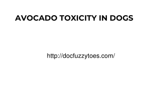 AVOCADO TOXICITY IN DOGS