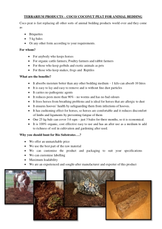 Terrarium products
