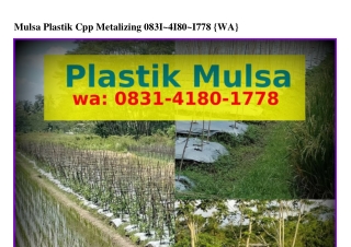Mulsa Plastik Cpp Metalizing 08౩l.ㄐl80.lᜪᜪ8(whatsApp)