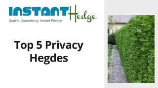 Best 5 Privacy Hedges For Your Landscape | InstantHedge