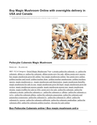 Psilocybe Cubensis Magic Mushroom