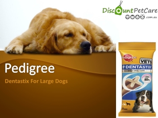 Buy Pedigree Dentastix For Large Dogs | Pet Food | Online at Lowest Price