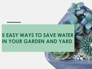 5 Easy Ways to Save Water in Your Garden and Yard