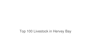 Top 100 Livestock in Hervey Bay