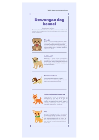 Dog Kennel in Durg