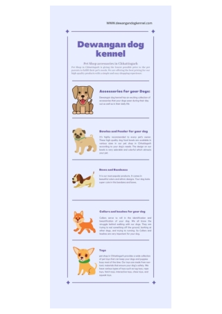 Pet Shop Accessories in Chhattisgarh