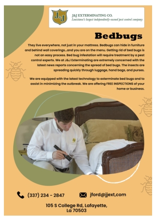 Houma Termite Control | Hammond Pest Control